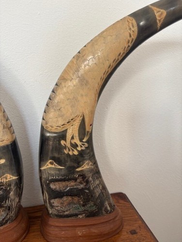 Paar montierte 15 Zoll große geschnitzte Adler Design Wasserbüffelhörner - Bild 2 von 4
