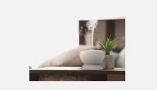 MAINSTAYS Floating Pool & Hot Tub Essential Oil Mister W/LED Light/USB Charger