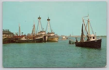 Postcard Fishing Boats Cold Spring Harbor Cape May NJ  c 1968