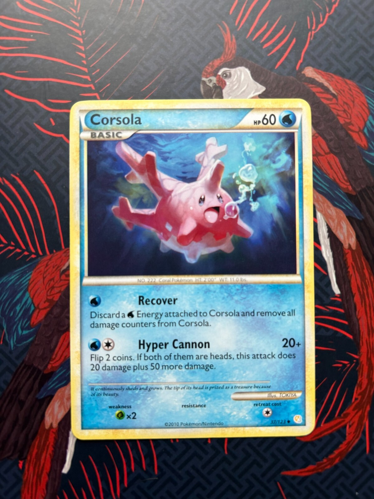 Corsola #37 Uncommon NM – HeartGold SoulSilver 2010 – Pokemon