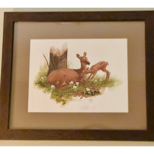 Vintage Don Balke Deer Doe & Fawn Framed Print 17”x 20” - Picture 1 of 3