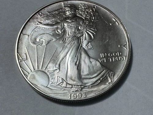1993 American Silver Eagle 1 oz .999 Fine Silver Dollar Toned