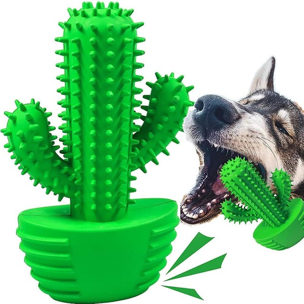Hundespielzeug Kauspielzeug Fast UnzerstöRbar Quietschend Gummi Kaktus-image