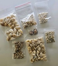 Decorative Shell Beads For Jewelry Making Craft Lot Of Different Types And Sizes