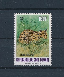 BV72349 Ivory Coast 1984 serval wildlife fine lot MNH