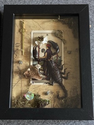 Taxidermy Scorpion   Shadow Box 5 X 8