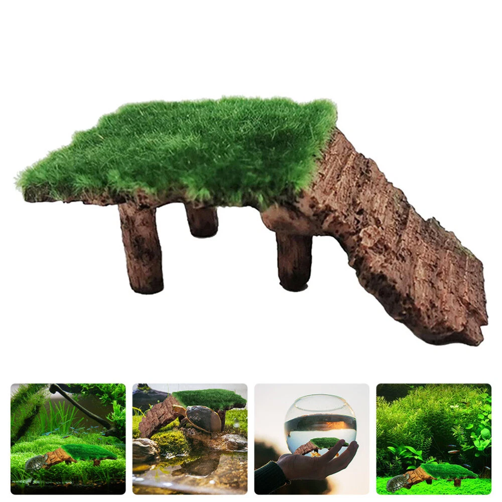 Tortoise cage best sale accessories