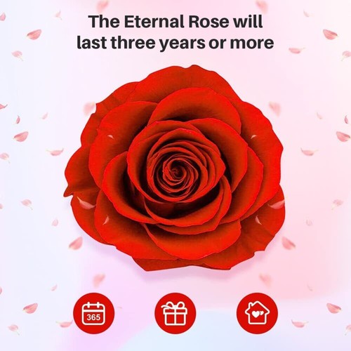 Rosenbox Ewige Echte Rose Blumen Geschenkbox mit Halskette Geschenk Box Schmuck - Bild 13 von 14