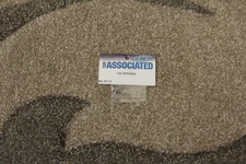 Team Associated - .020 Springs No. 4113