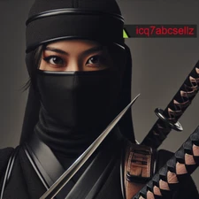 Digital Image  -Photo Wallpaper Background Desktop Art - Black Ninja