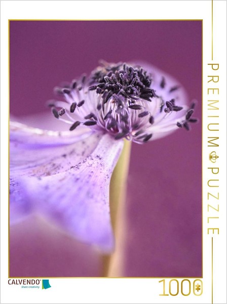Calvendo Puzzle Anemone | 1000 Pieces, Finished Size 25.2 × 18.9 In (64 × 48 Cm)-image