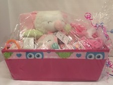 Baby Girl Owl Gift Basket