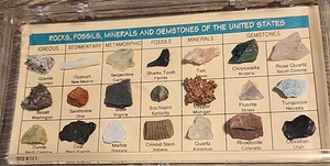 Rock Fossils Minerals & Gemstones of the United States Vintage Please read