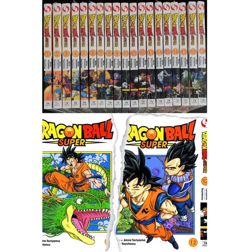 Cómics de Dragon Ball Super English Vol. Juego Completo Libro Físico Manga 1-22 Nuevo