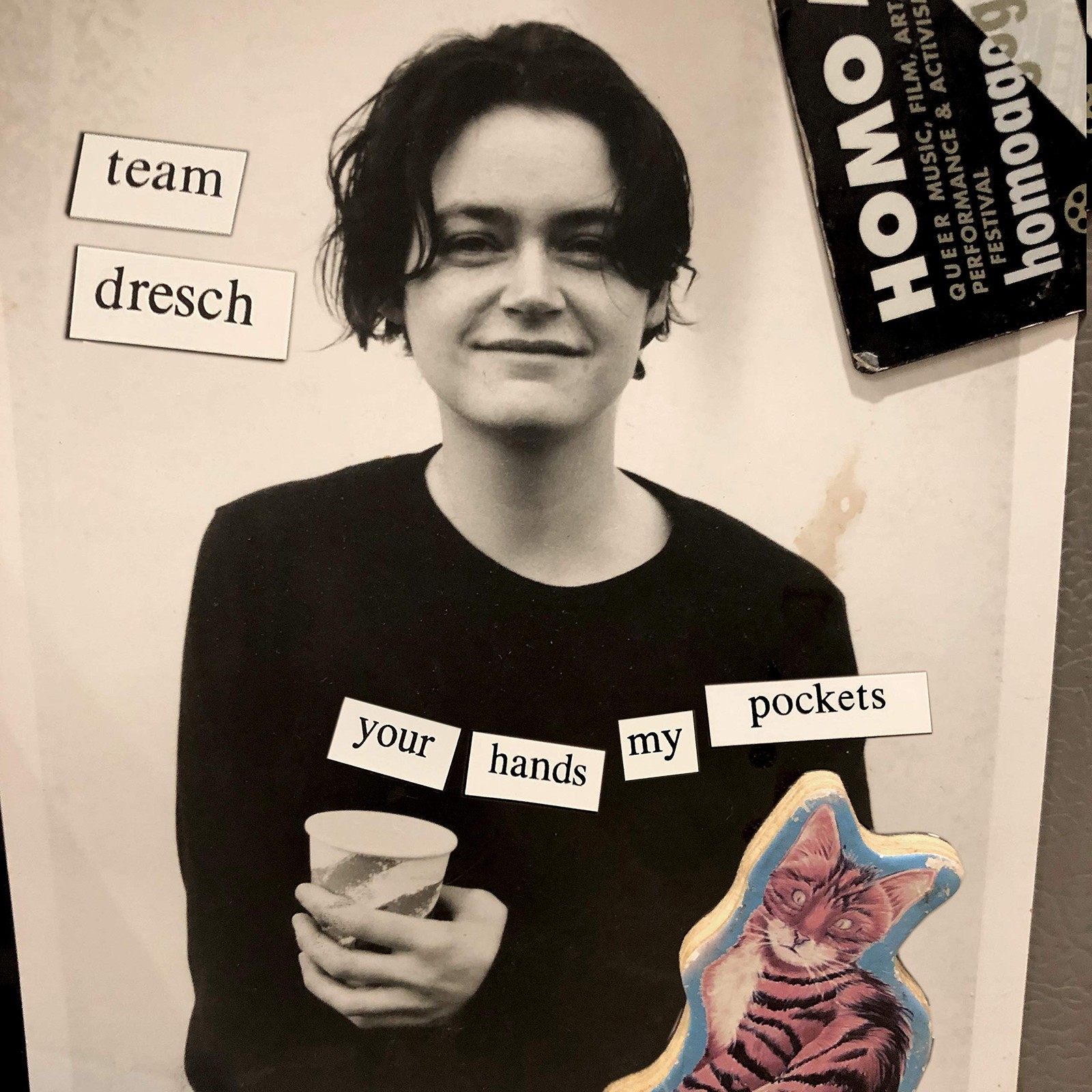 Team Dresch Your Hands My Pockets / Корзина (винил) (ИМПОРТ ИЗ Великобритании)