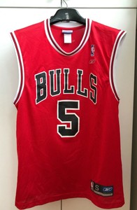 jalen rose bulls jersey