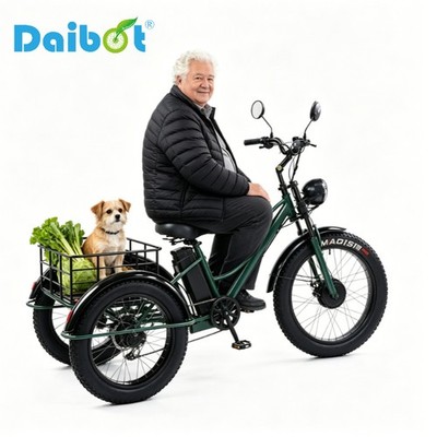 Daibot 750W 48V 24 Zoll Elektro Dreirad Erwachsene 65km Reichweite Pendler Akku