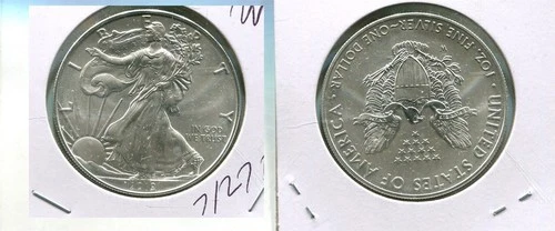 2019 W AMERICAN SILVER EAGLE 1 OUNCE .999 FINE BURNISHED BU COIN NO BOX 7127T