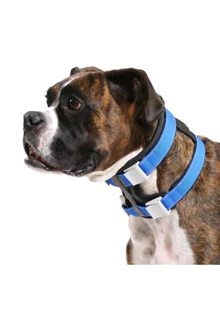 Cesar Millan Pack Leader Collar Small Training Collar of The Dog