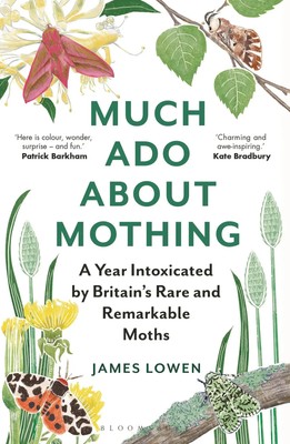 Much ADO about Mothing | James Lowen | Englisch | Taschenbuch | 2023
