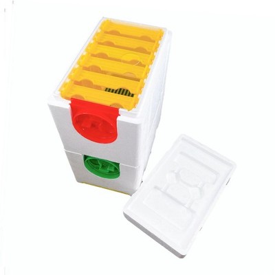 Bee Queen Aufzuchtbox 10 Frames Double Layer Harvest Bestäubungsschaum
