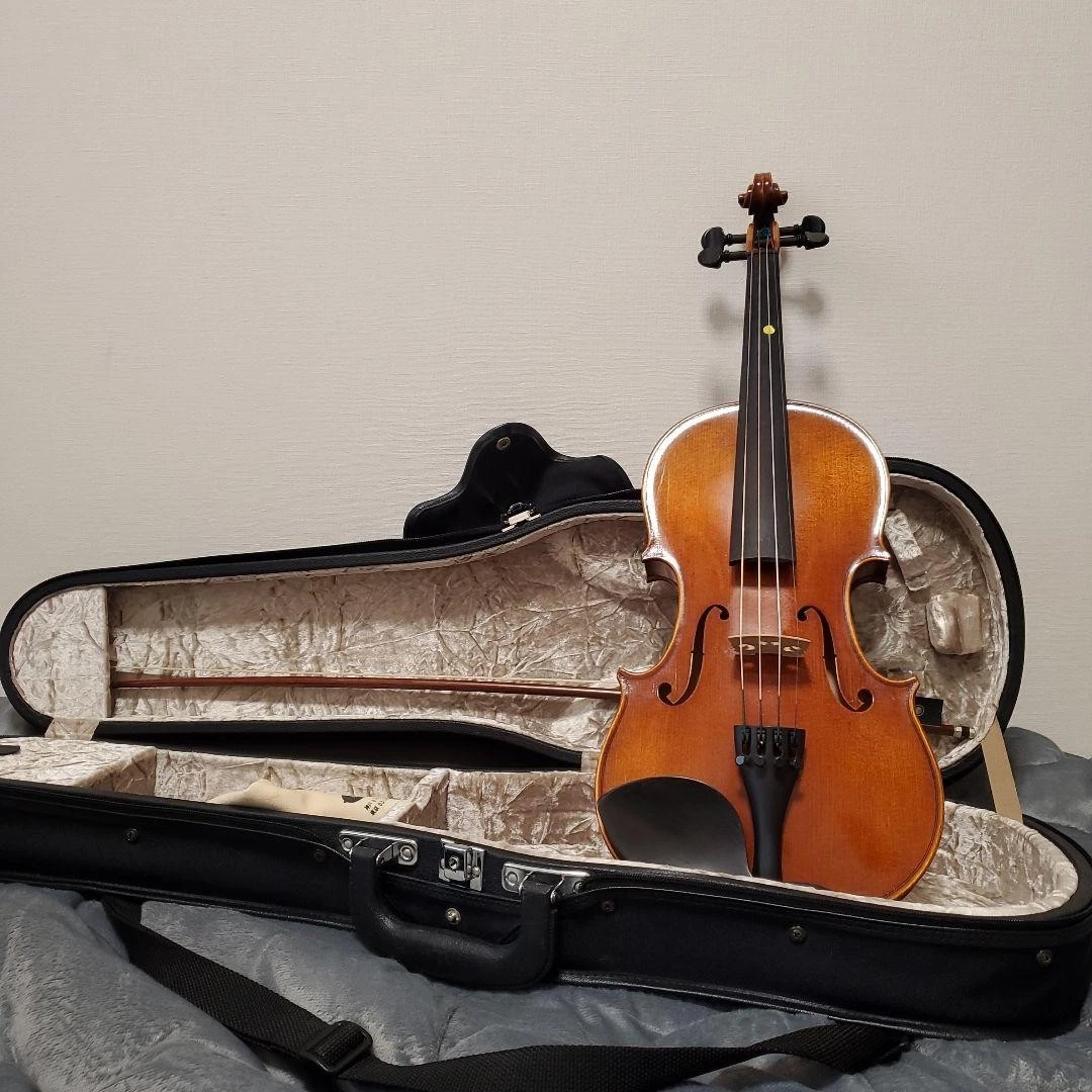 Artisan Orchestral String Instruments for sale | eBay