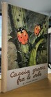 Foto 1 di 6