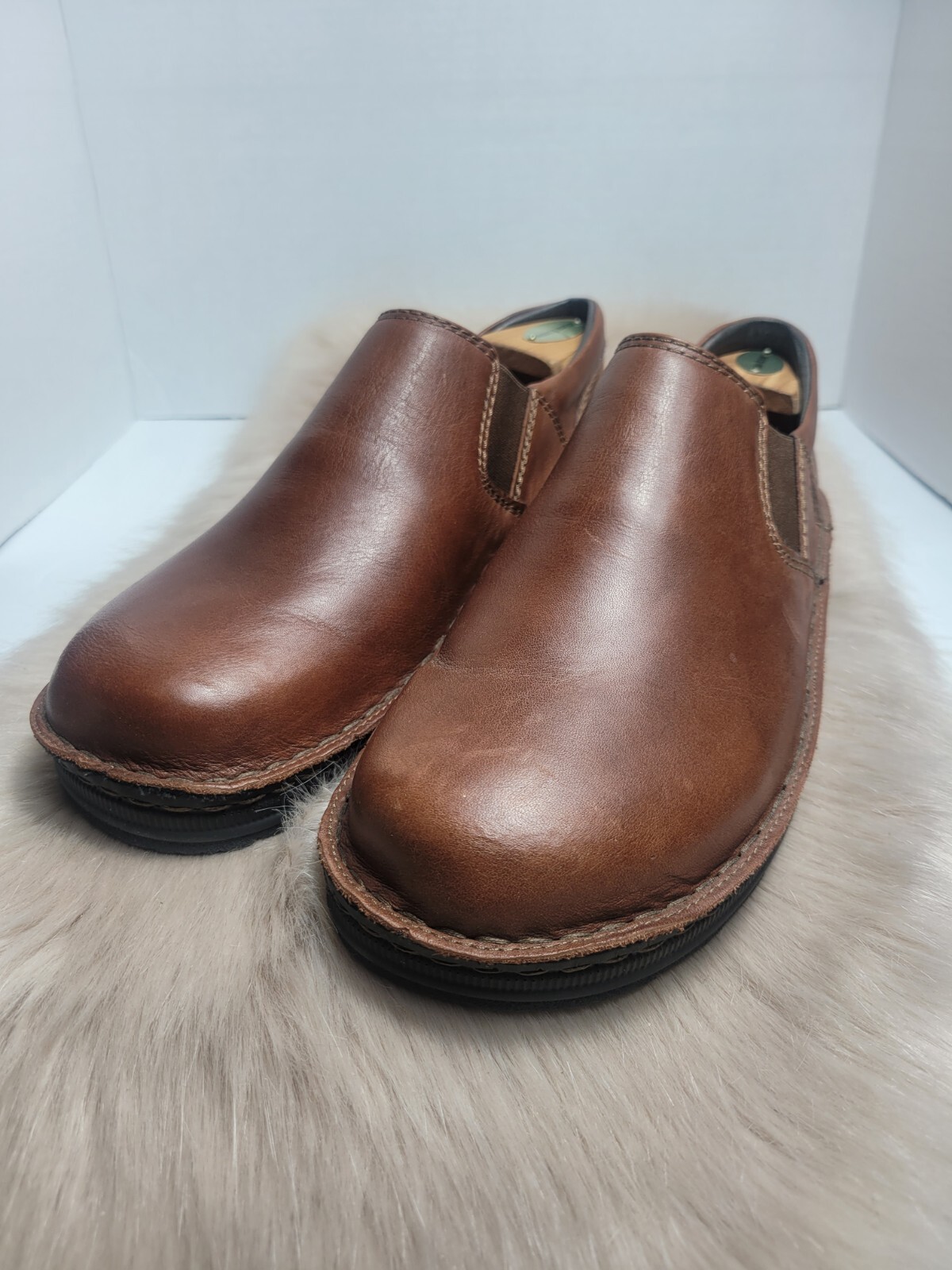 naot eiger brown