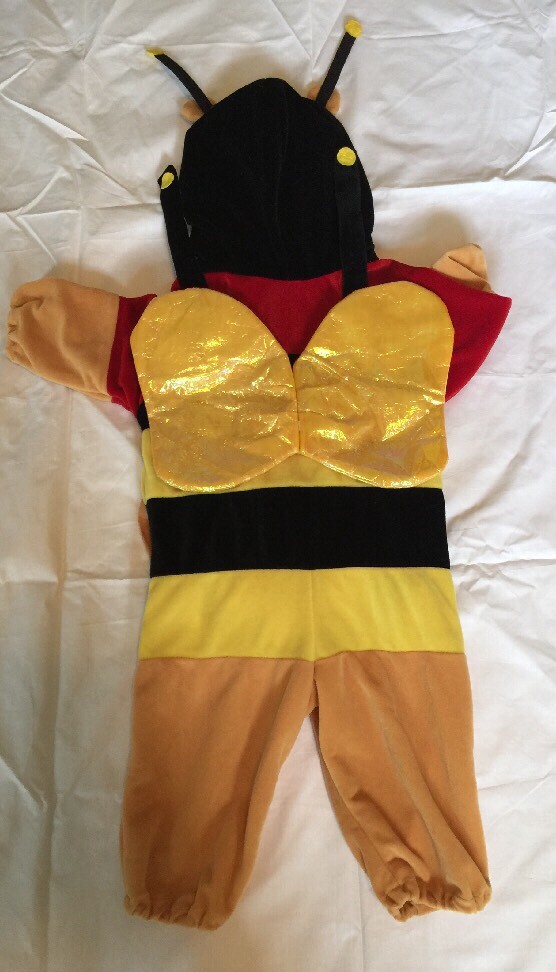 Bild 6 von 12