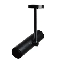 10W COB LED Ceiling Project Light Adjustable Picture Lamp Fixture Office Store