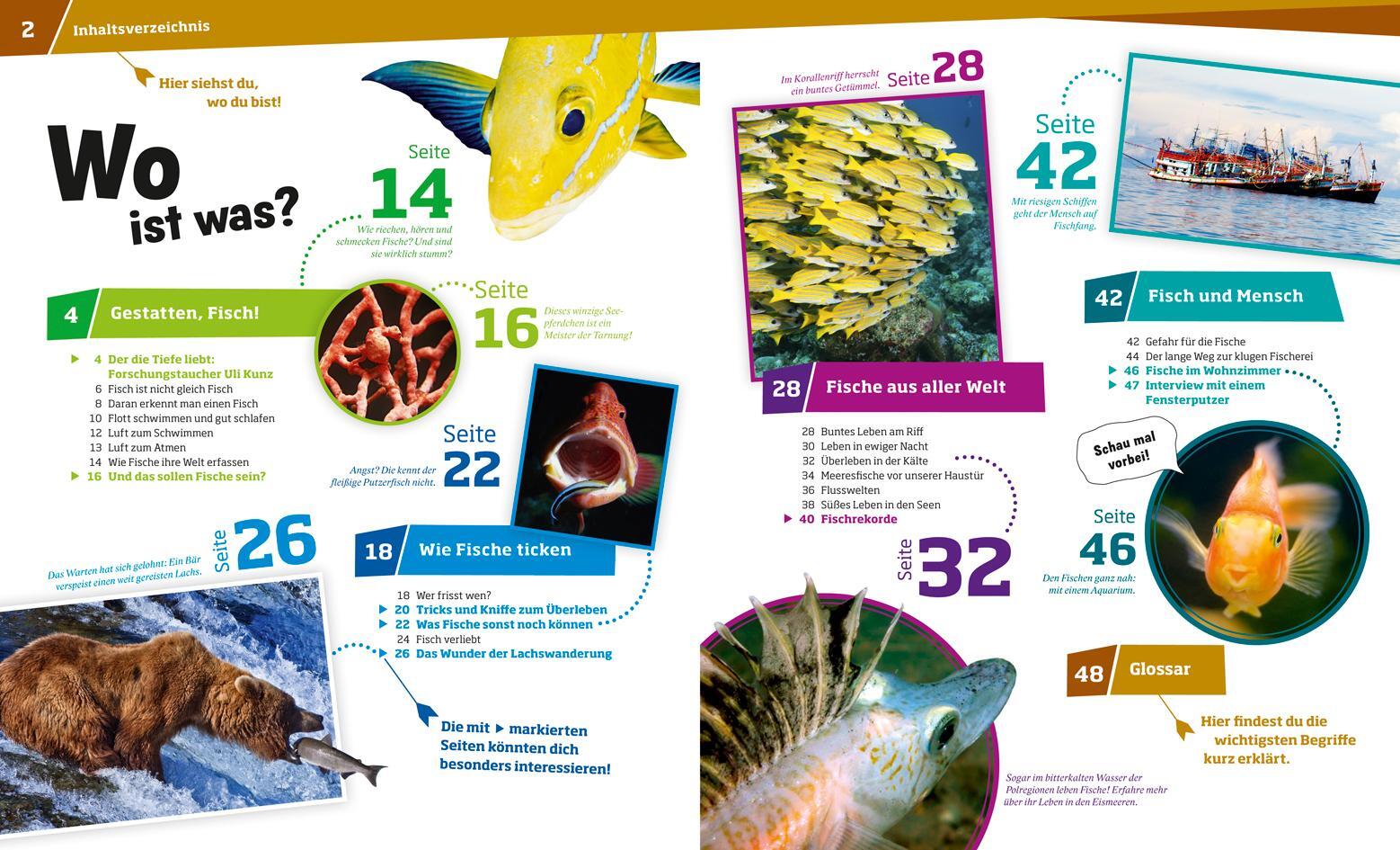 Thumbnail - Nicolai Schirawski Was Ist Was Band 41 Fische. Wunderwelt ...