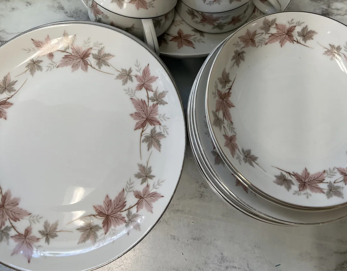 Style House Fine China - Windsor Pattern - Set Of 45 Plates/Mug