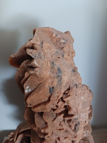 Grande Rose des sables montée sur socle - Foto 4 di 7