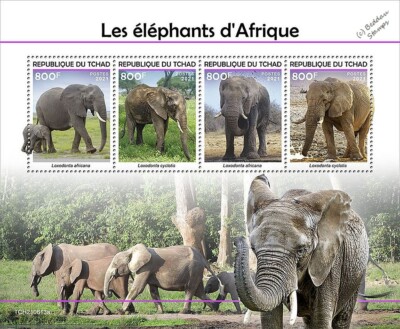ELEPHANTS OF AFRICA Mammals Wild Animals Elephant MNH 4v-Stamp Sheet ...