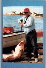 Fisherman with Large Shark Catch - Fishing Success Postcard