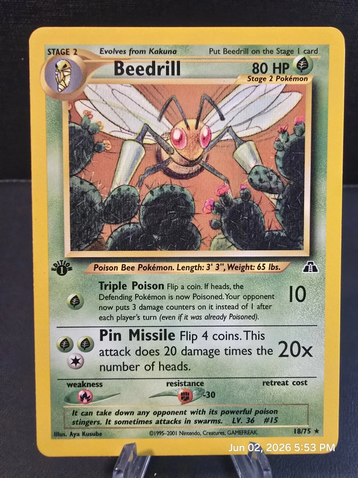 Pokemon TCG Beedrill 18/75 Regular Rare Neo Discovery 2001 Vintage 1st Edition