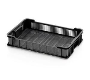 Gemüse Kiste 60x40x12 schwarz * Gemüsebox Obstkiste Plastikkiste Box