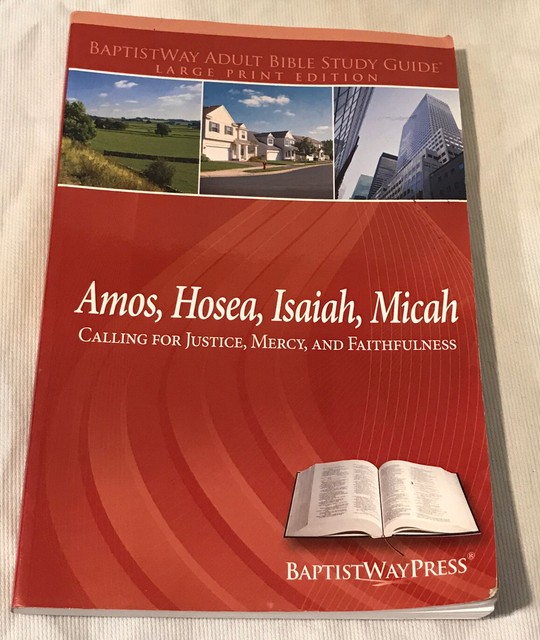 Amos, Hosea, Isaiah, MicahLarge Print Adult Bible Study Guide Paperback Book eBay