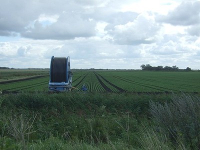 Foto 6x4 Erntefeld neben Abfluss Meilenende\/TL6083 Off Mile End Road (B13 c2017