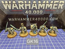 40k Grey Knights Paladins Squad x5 Pro Painted Brotherhood Terminator Apothecary