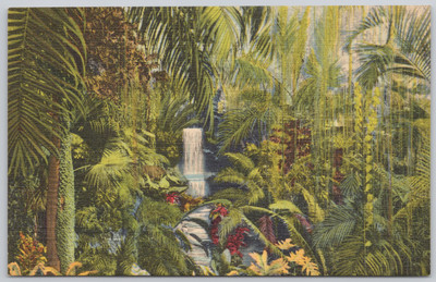 Cincinnati Ohio Linen Postcard Eden Park Palm House Irwin M Krohn Conservatory