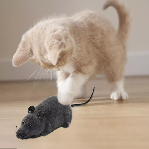 Wireless Remote Control RC Rat Electronic Mouse for Cat Dog Pet Toy Novelty, - Picture 6 of 13
