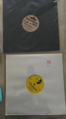 PATRICK HERNANDEZ   Born To Be Alive - two 1995 vinyl 12'' USA on Hot and POT NM