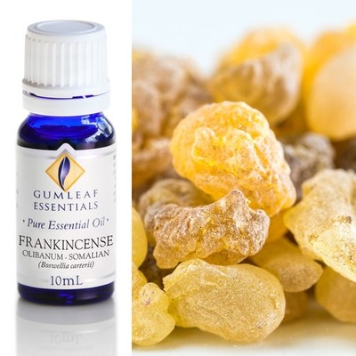 Gumleaf Essentials - Frankincense Olibanum Somalian - Essential Oil - 10mL