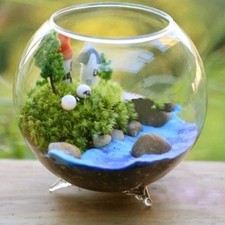 Hydroponic Plant Vase, Tabletop Glass Plant Vase