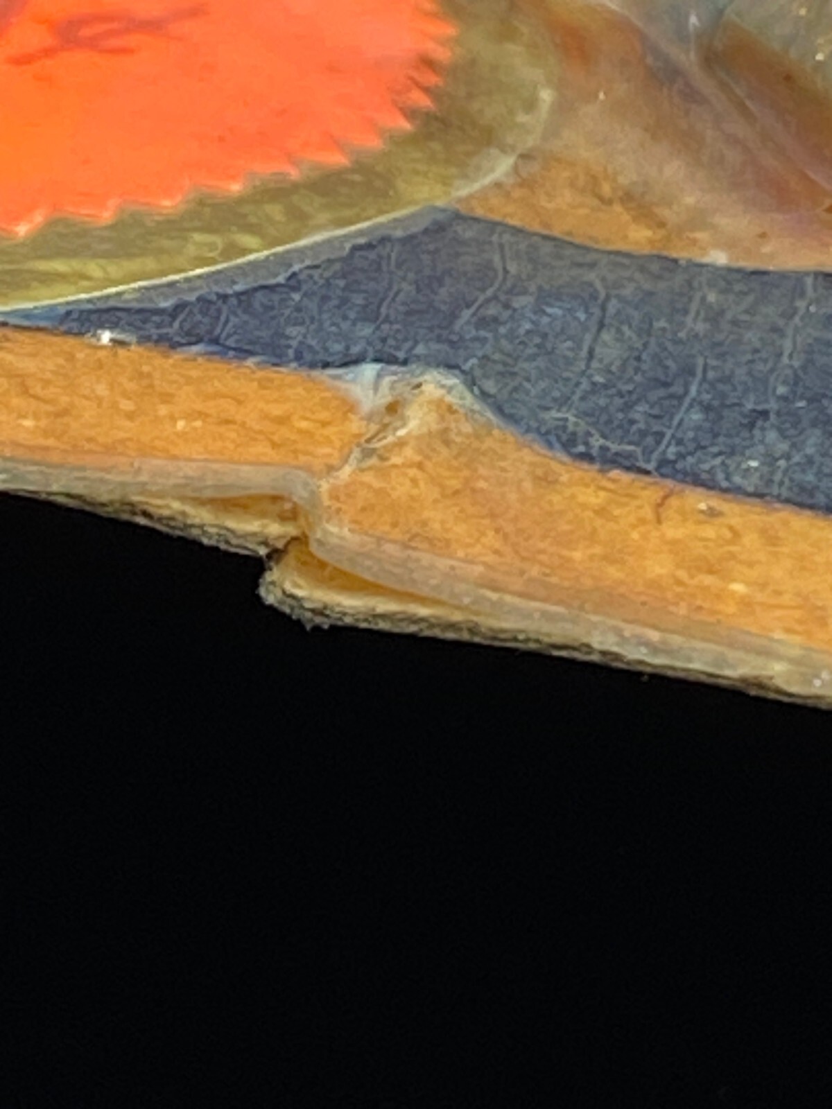 Foto 14 di 24