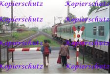 24x36 Negativ+Datei! DBAG Ellok 143 321 RE nach Stralsund Blankenfelde +BR 481