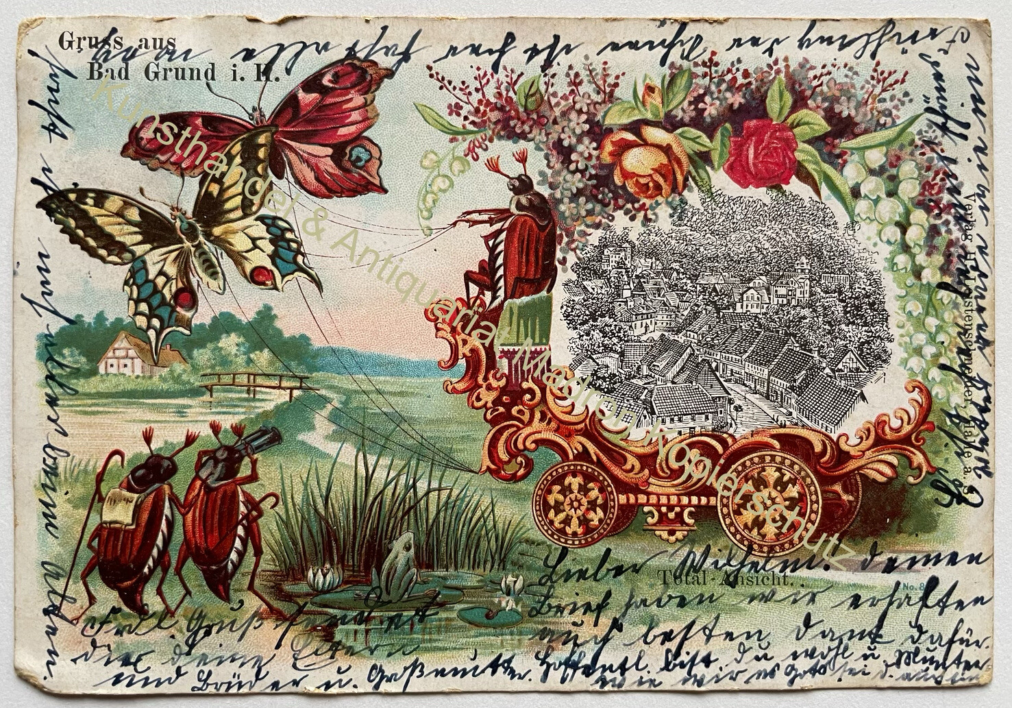 AK Bad Grund Harz Göttingen 1912 Pfingsten Maikäfer