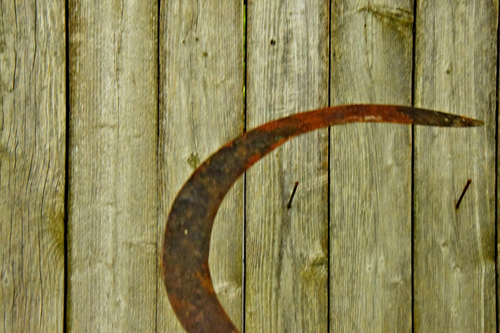 SCHEUNENFRISCH CA. 1930er HOLZGRIFF SICHEL SKYTHE OLD TIMEY WERKZEUG GARTENHAUS ROST - Bild 7 von 14