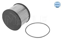 Meyle 714 323 0012 Kraftstofffilter FüR CitroËN,Ds,Fiat,Ford,Peugeot,Toyota